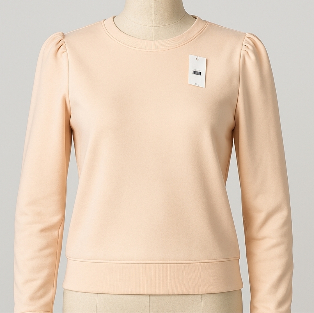 Ann Taylor Puffed Pleated Sleeve Top, Blush. Size Small.